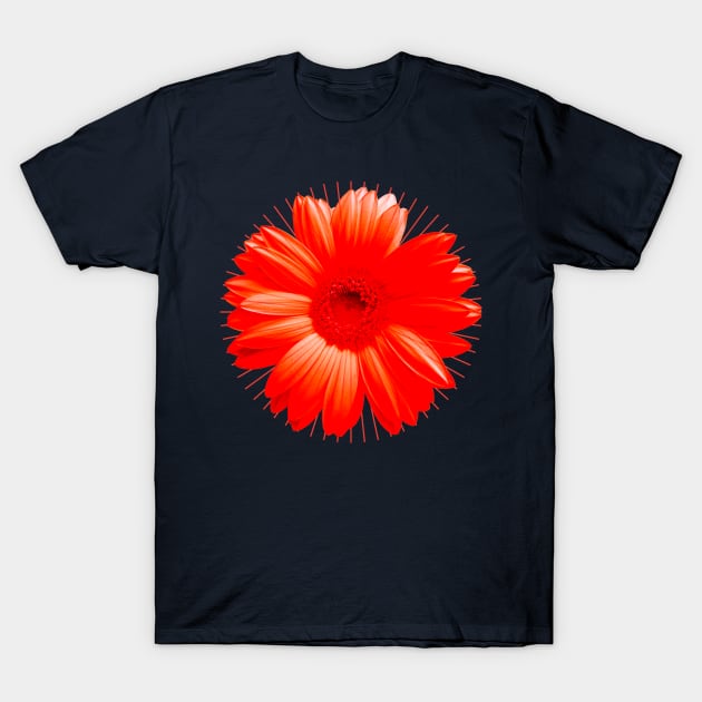 Flower Chakra Red T-Shirt by emma17